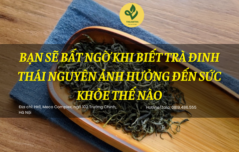 Bạn Sẽ Bất Ngờ Khi Biết Trà Đinh Thái Nguyên Ảnh Hưởng Đến Sức Khỏe Thế Nào
