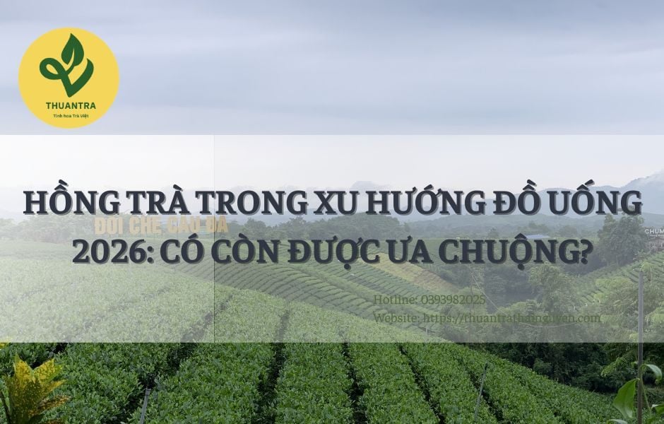 Hồng Trà Trong Xu Hướng Đồ Uống 2026: Có Còn Được Ưa Chuộng?