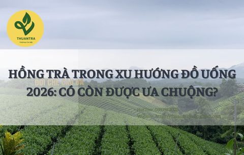 Hồng Trà Trong Xu Hướng Đồ Uống 2026: Có Còn Được Ưa Chuộng?