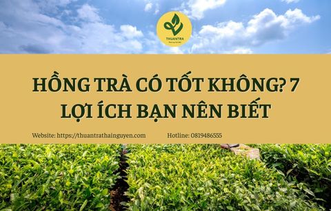 Hồng trà có tốt không? 7 lợi ích bạn nên biết