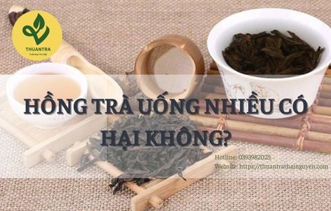 Hồng Trà Uống Nhiều Có Hại Không?