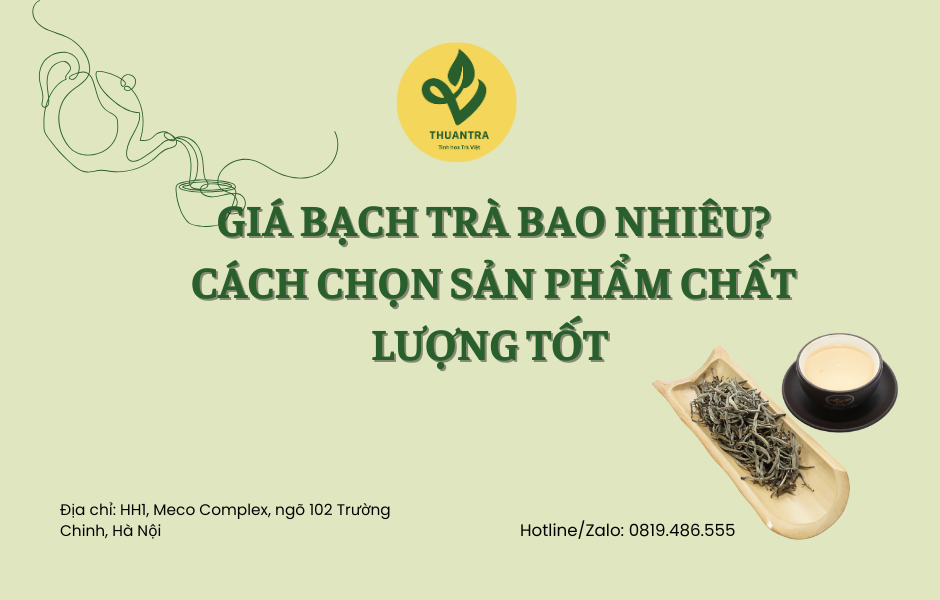 Giá Bạch Trà Bao Nhiêu? Cách Chọn Sản Phẩm Chất Lượng Tốt