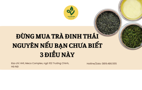 Đừng mua trà Đinh Thái Nguyên nếu bạn chưa biết 3 điều này