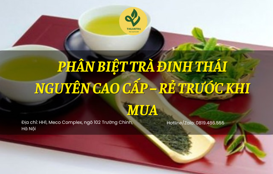 Phân biệt trà đinh Thái Nguyên cao cấp – rẻ trước khi mua
