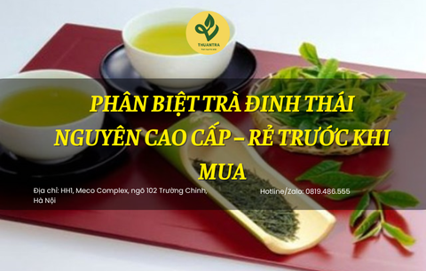 Phân biệt trà đinh Thái Nguyên cao cấp – rẻ trước khi mua