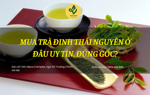 Mua trà đinh Thái Nguyên ở đâu uy tín, đúng gốc?