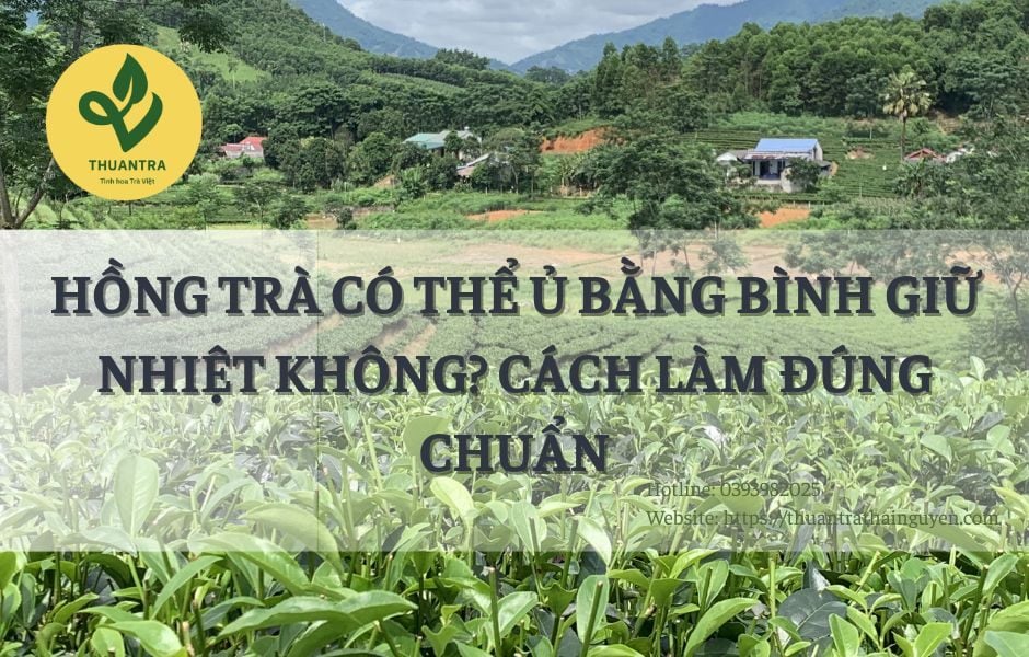 Hồng Trà Có Thể Ủ Bằng Bình Giữ Nhiệt Không? Cách Làm Đúng Chuẩn