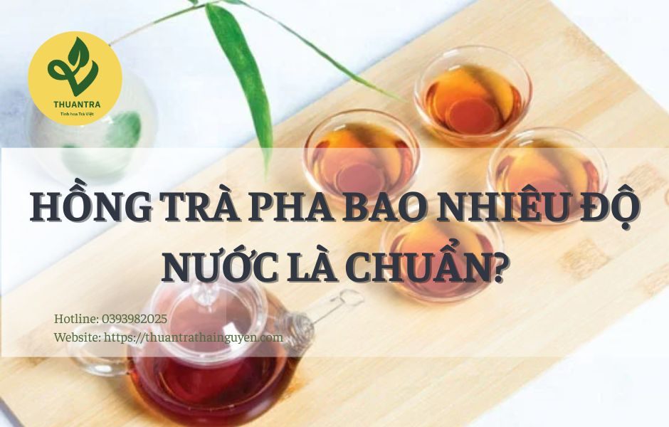 Hồng Trà Pha Bao Nhiêu Độ Nước Là Chuẩn?