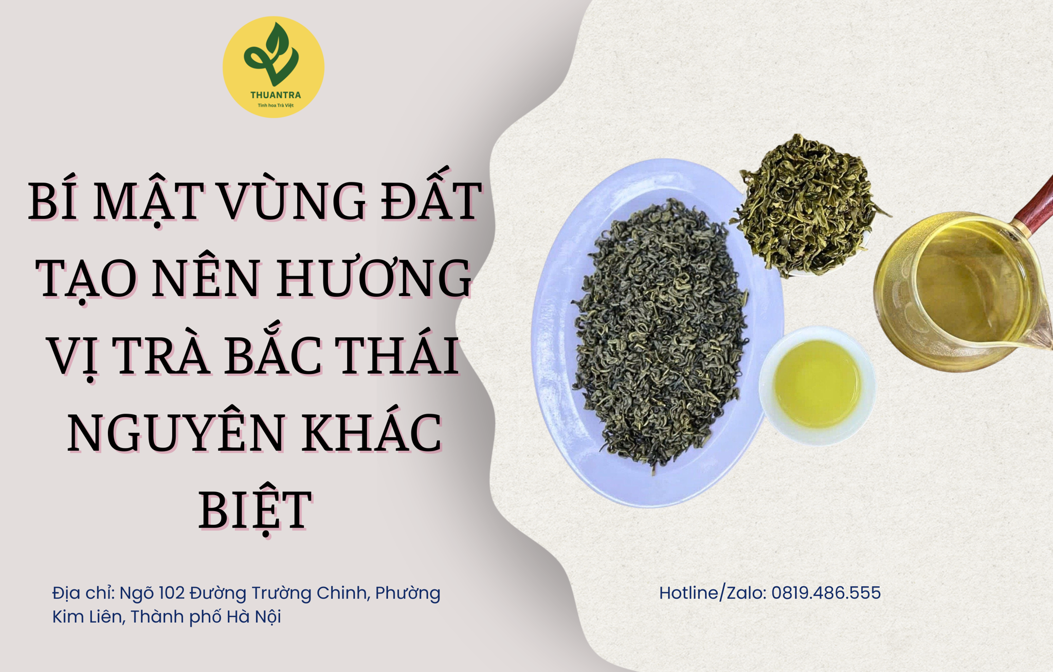 Bí mật vùng đất tạo nên hương vị Trà Bắc Thái Nguyên khác biệt