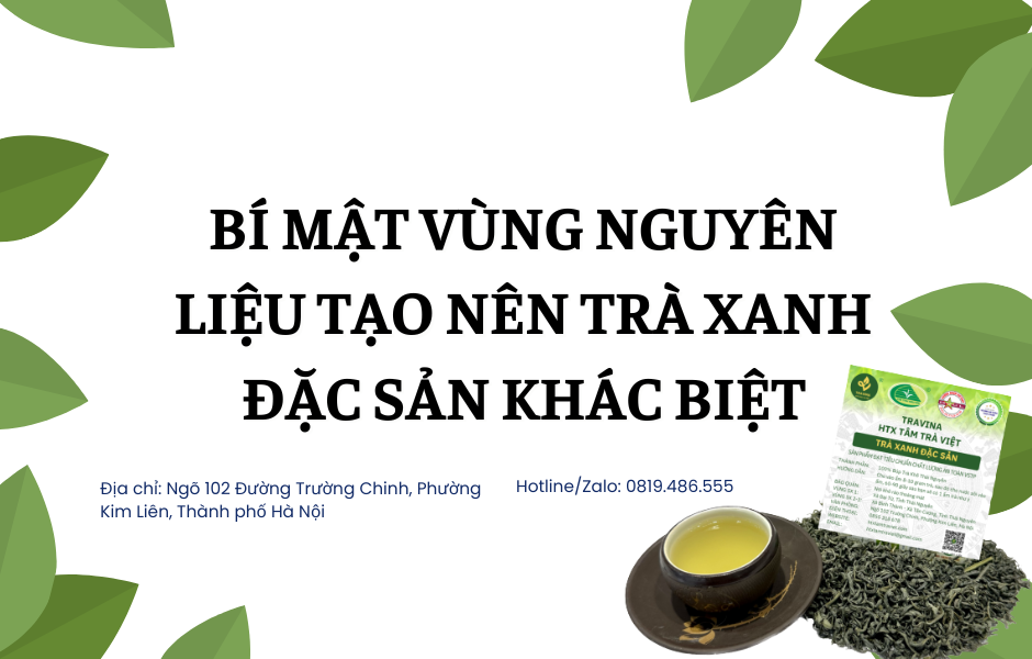 Bí mật vùng nguyên liệu tạo nên Trà Xanh Đặc Sản khác biệt