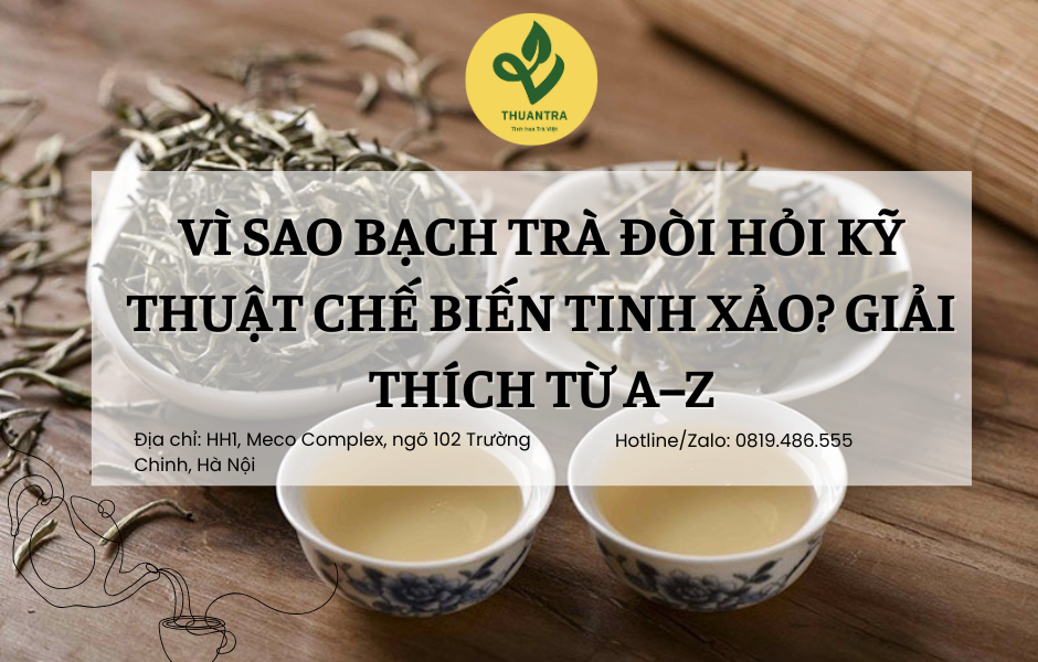 Vì Sao Bạch Trà Đòi Hỏi Kỹ Thuật Chế Biến Tinh Xảo? Giải Thích Từ A–Z