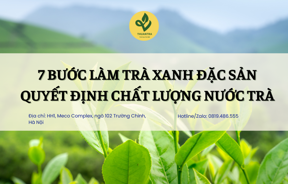 7 bước làm Trà Xanh Đặc Sản quyết định chất lượng nước trà