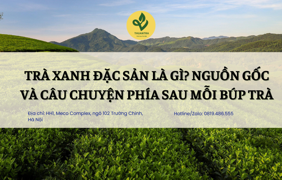Trà Xanh Đặc Sản là gì? Nguồn gốc và câu chuyện phía sau mỗi búp trà