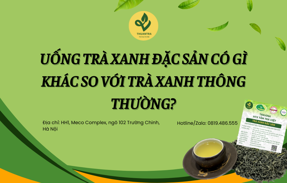 Uống Trà Xanh Đặc Sản có gì khác so với trà xanh thông thường?