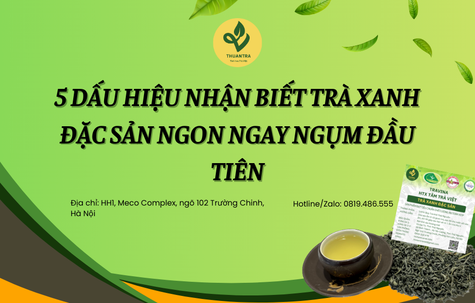 5 dấu hiệu nhận biết Trà Xanh Đặc Sản ngon ngay ngụm đầu tiên