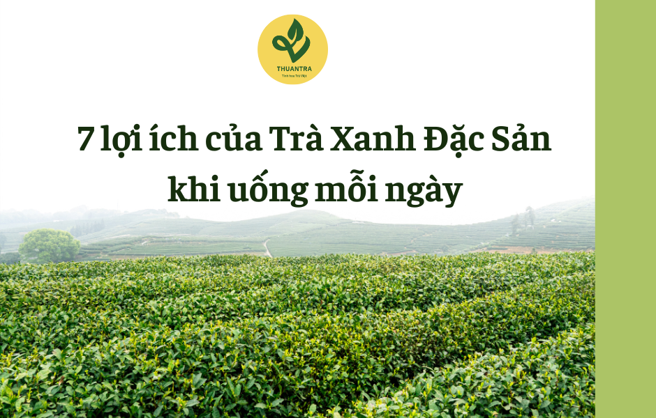 7 lợi ích của Trà Xanh Đặc Sản khi uống mỗi ngày