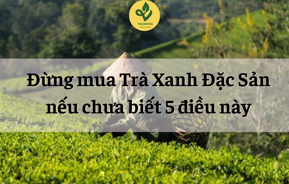 Đừng mua Trà Xanh Đặc Sản nếu chưa biết 5 điều này