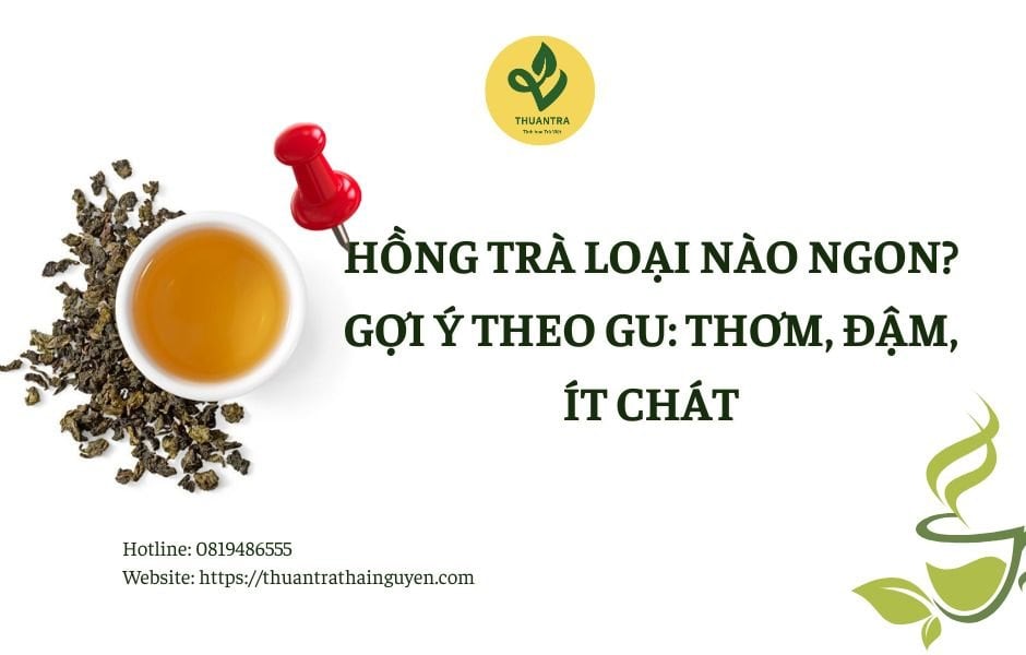 Hồng trà loại nào ngon? Gợi ý theo gu: thơm, đậm, ít chát