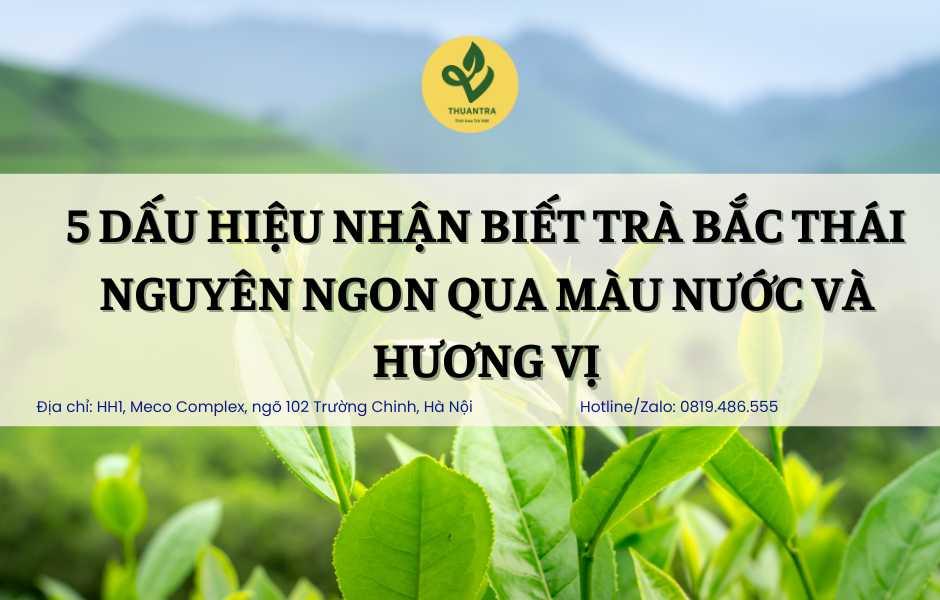 5 dấu hiệu nhận biết trà Bắc Thái Nguyên ngon qua màu nước và hương vị
