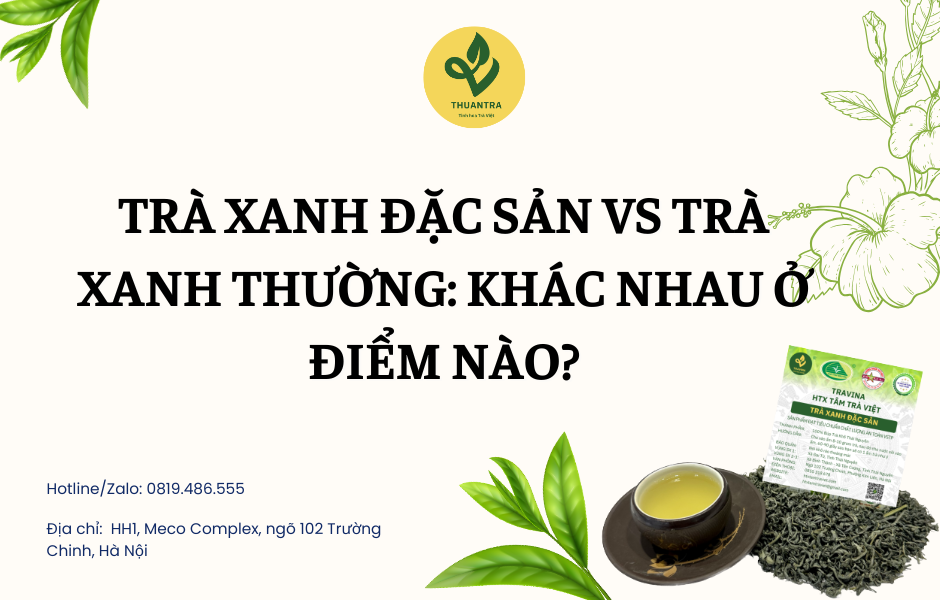 Trà Xanh Đặc Sản vs trà xanh thường: khác nhau ở điểm nào?