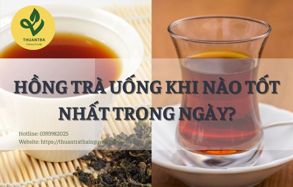 Hồng Trà Uống Khi Nào Tốt Nhất Trong Ngày?