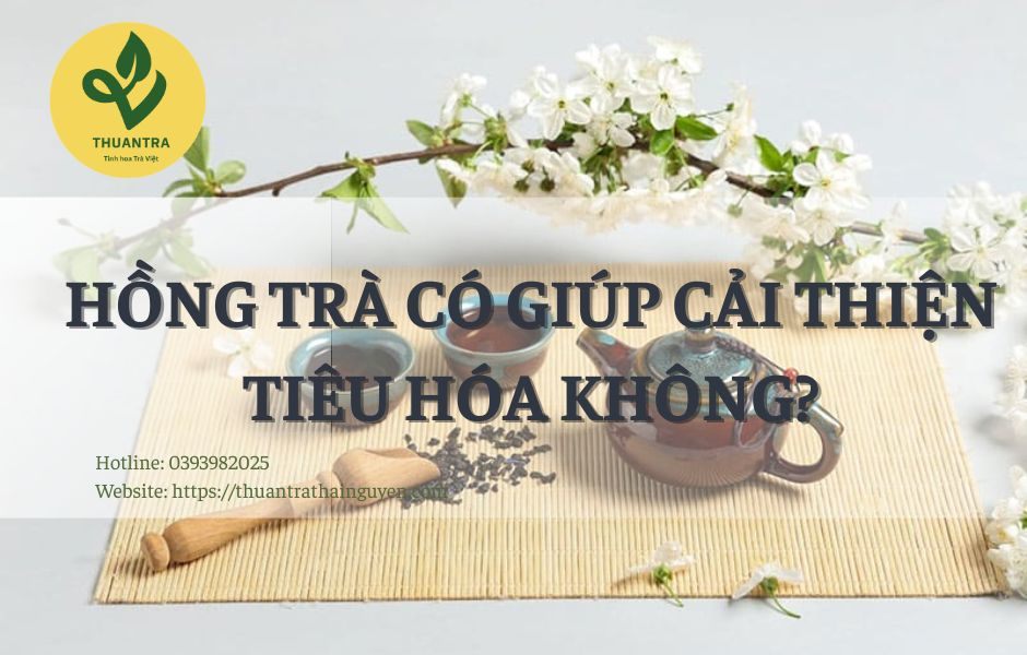 Hồng Trà Có Giúp Cải Thiện Tiêu Hóa Không?