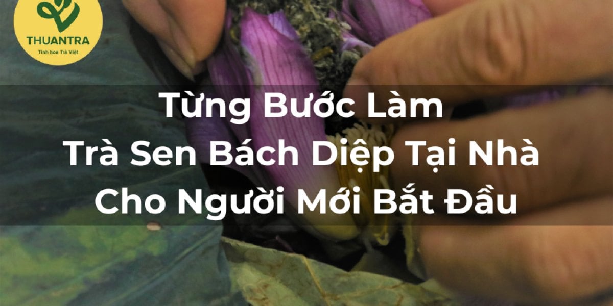 Từng Bước Làm Trà Sen Bách Diệp Tại Nhà Cho Người Mới Bắt Đầu