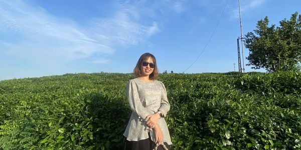 Người trở về đồi chè (Tập 2): người giữ nhà