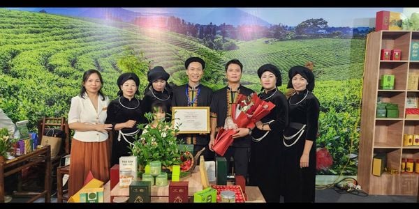 Người trở về đồi chè (Tập 3): người giữ lửa