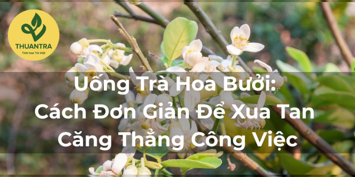 Uống Trà Hoa Bưởi: Cách Đơn Giản Để Xua Tan Căng Thẳng Công Việc