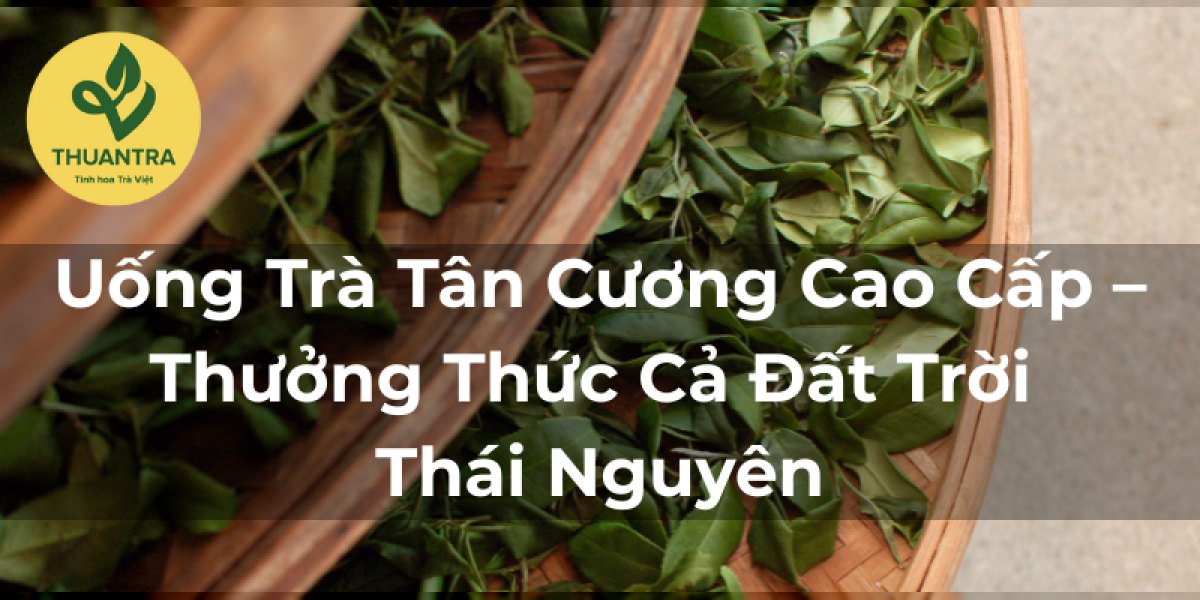 Uống Trà Tân Cương Cao Cấp – Thưởng Thức Cả Đất Trời Thái Nguyên