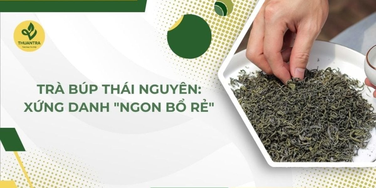 Trà búp Thái Nguyên là gì? Vì sao “ngon bổ rẻ”, khác móc câu ở đâu, giá 2026, cách pha và chọn mua