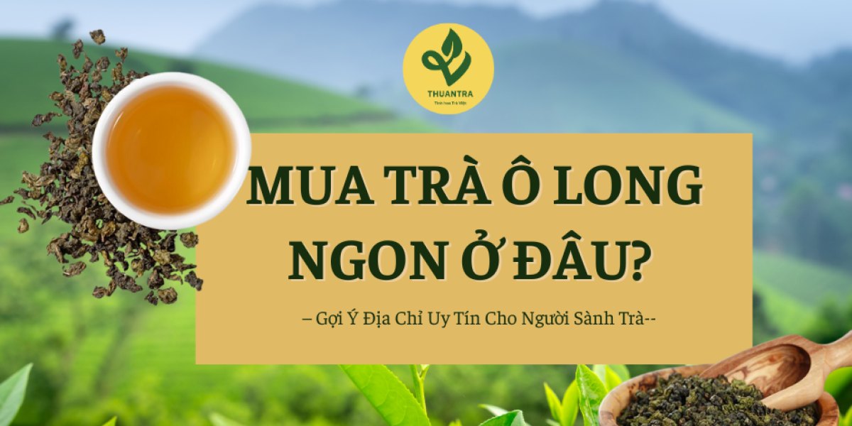 Mua Trà Ô Long Ngon Ở Đâu? Gợi Ý Địa Chỉ Uy Tín Cho Người Sành Trà