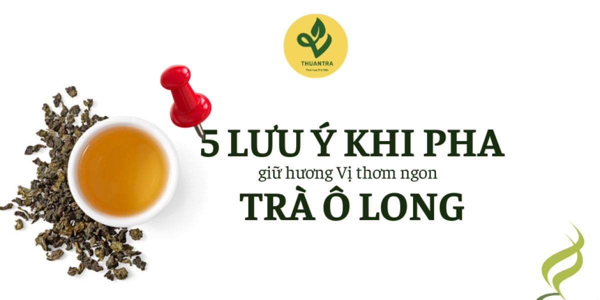 5 Lưu ý Khi Pha Trà Ô Long Khiến giữ Hương Vị