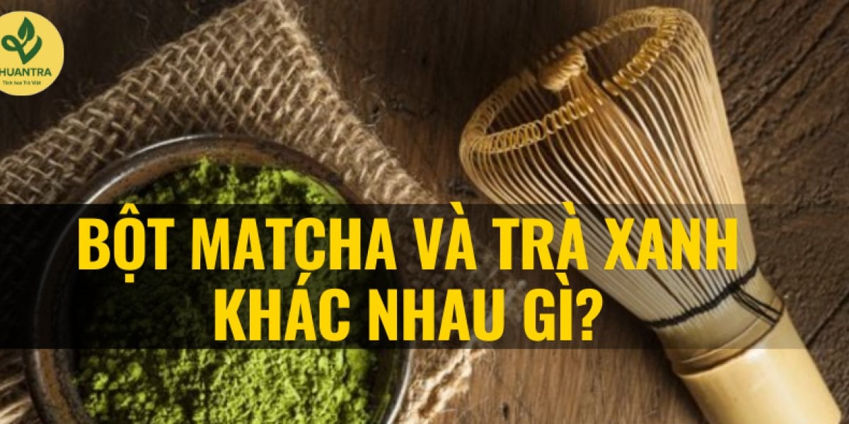 Bột matcha và bột trà xanh khác nhau từ khâu nào? Quy trình sản xuất matcha đạt chuẩn 7 bước và 6 phép thử phân biệt tại nhà