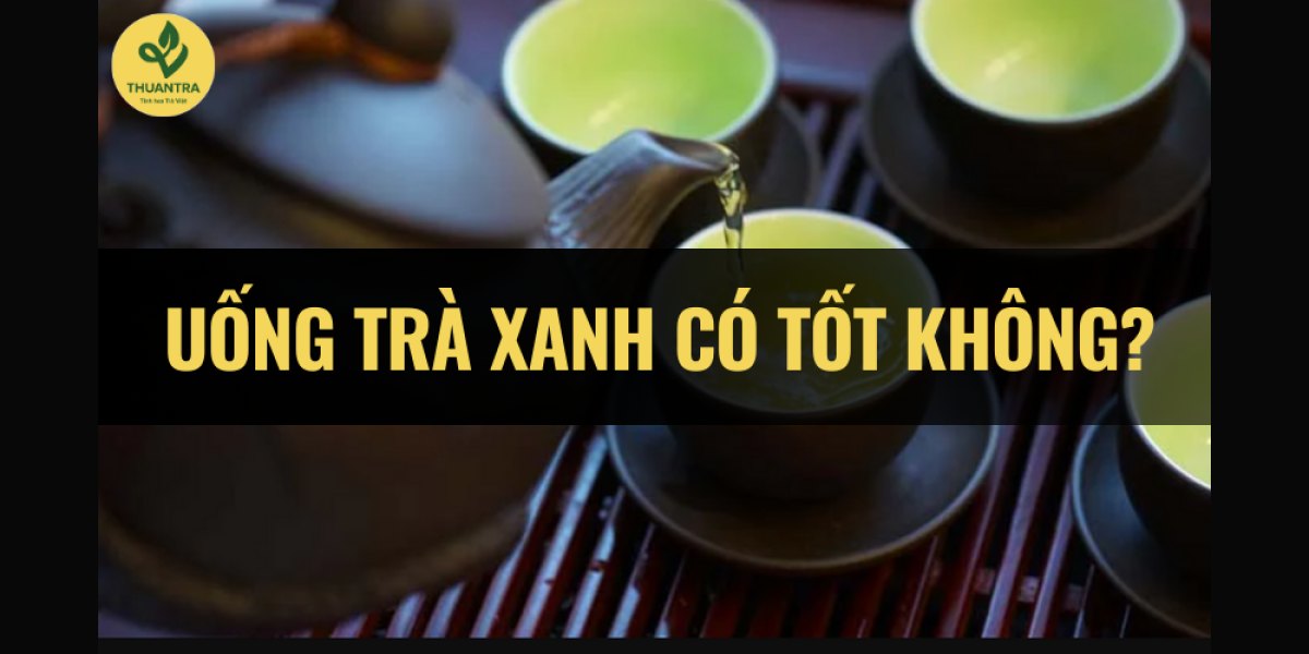Trà xanh có tốt không với bạn? Mức an toàn quy ra số chén và cách pha điều chỉnh cho 8 nhóm người uống