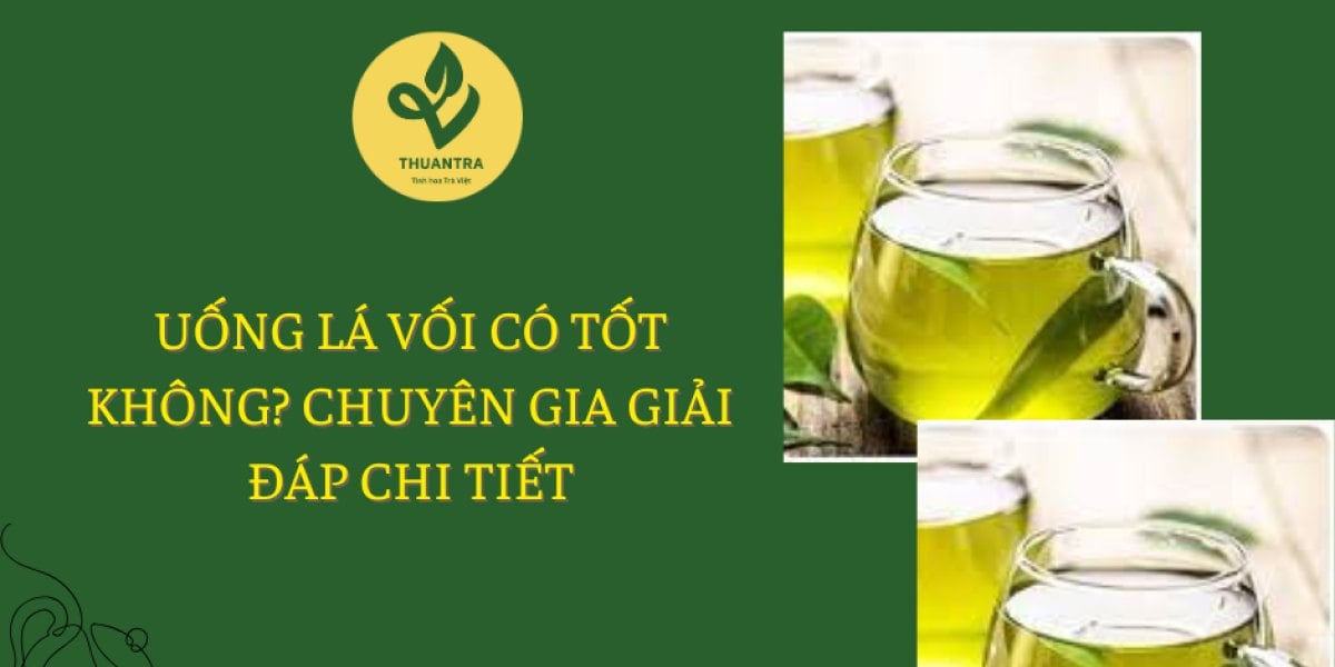 Uống Lá Vối Có Tốt Không? Chuyên Gia Giải Đáp Chi Tiết