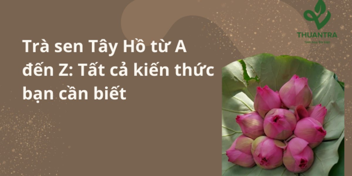 Trà sen Tây Hồ từ A đến Z: sen Bách Diệp, ướp nguyên bông và ướp gạo sen, giá 2026, cách pha và cách nhận biết trà ướp thật