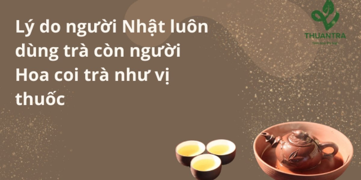 Vì sao người Hoa coi trà như vị thuốc, người Nhật dùng trà dưỡng sinh — và khoa học hôm nay xác nhận được gì về tác dụng của trà