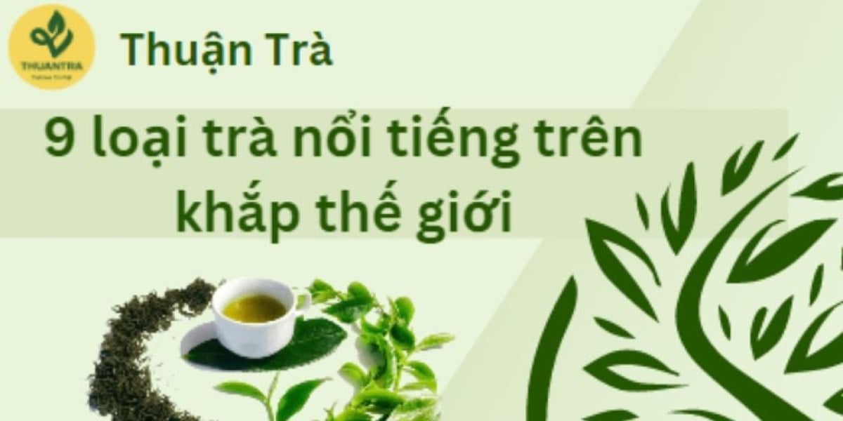 9 loại trà nổi tiếng trên thế giới: hồ sơ từng loại, bảng pha chuẩn, lộ trình nếm 3 buổi cho người mới và trà Việt nếm song song