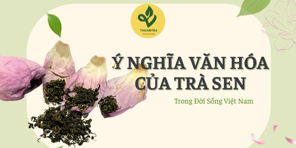 Ý Nghĩa Văn Hóa  Của Trà Sen Trong Đời Sống Việt Nam