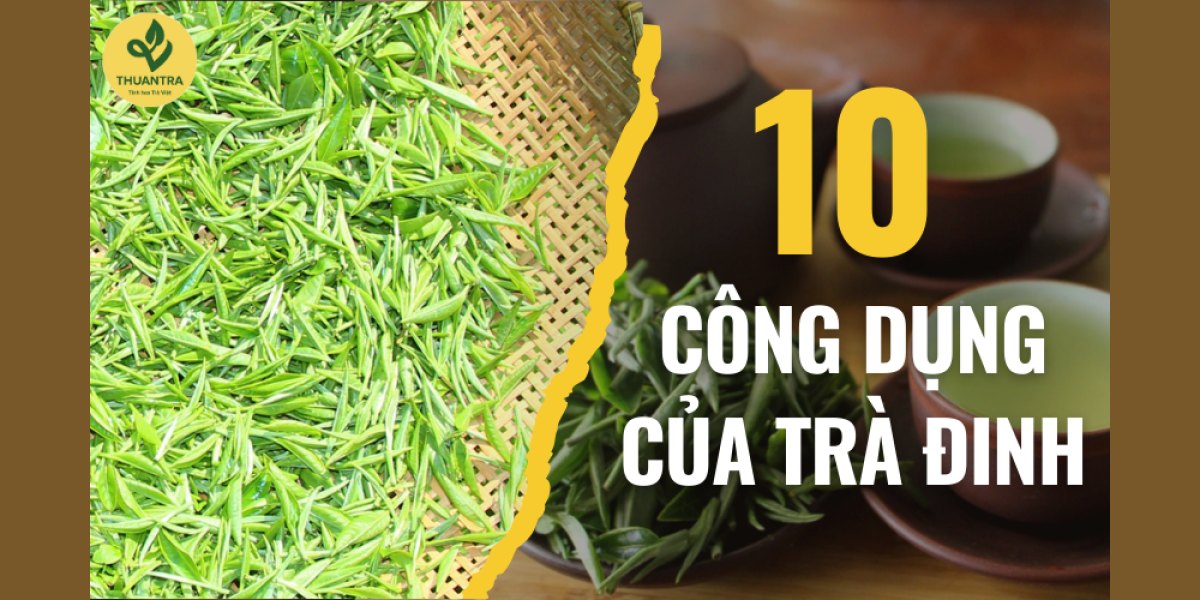 10 công dụng của trà đinh được quảng cáo: điều nào có cơ sở, điều nào phóng đại, và trà đinh khác trà thường ở đâu