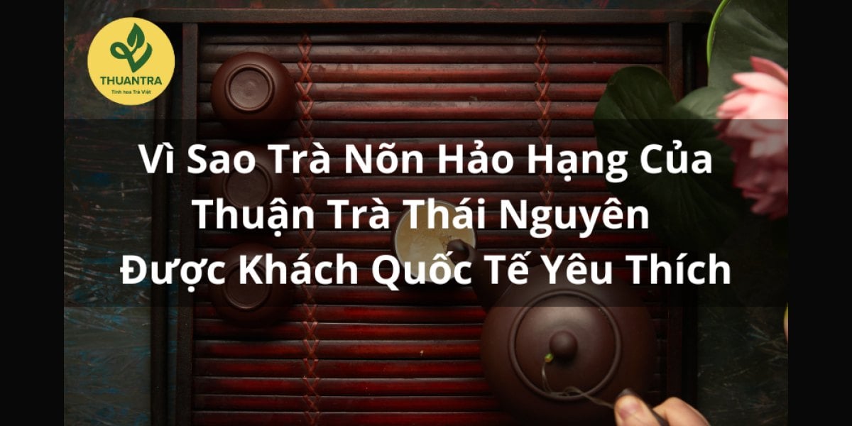 Vì Sao Trà Nõn Hảo Hạng Thuận Trà Thái Nguyên Được Khách Quốc Tế Yêu Thích