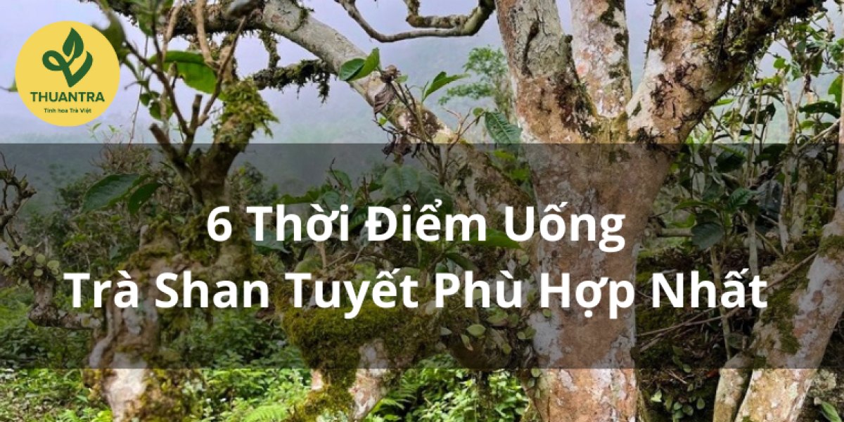 6 Thời Điểm Uống Trà Shan Tuyết Phù Hợp Nhất