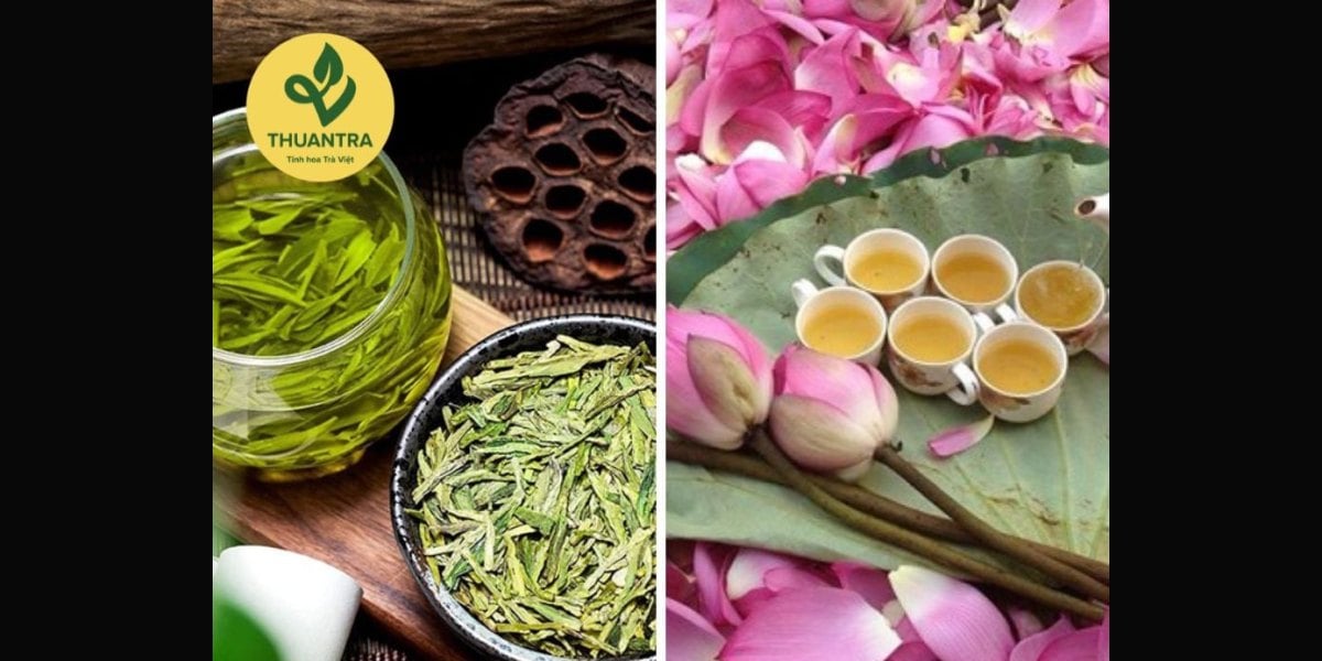 Trà Việt Nam và trà Trung Quốc khác nhau thế nào? So sánh 7 điểm từ giống chè, cách làm, cách uống đến giá và độ an toàn