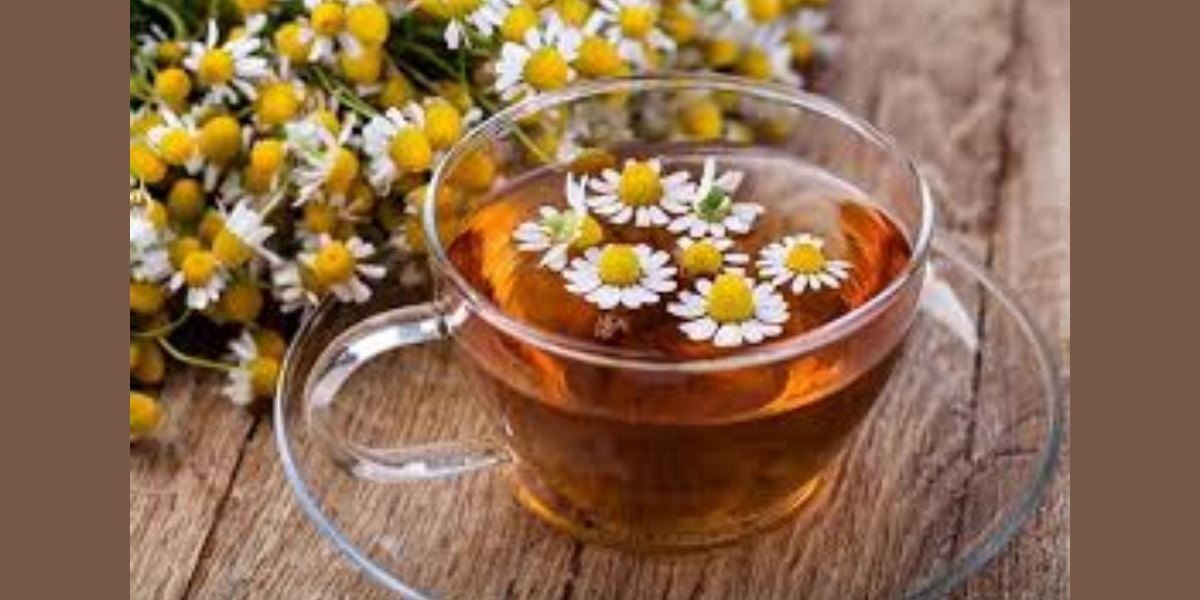 Trà hoa cúc là gì? Công dụng của trà hoa cúc
