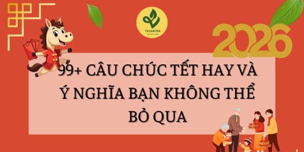 99+ Câu Chúc Tết Hay Và Ý Nghĩa Bạn Không Nên Bỏ Qua