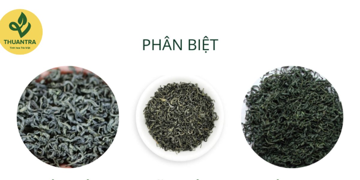 Phân Biệt Trà Đinh, Trà Móc Câu, Trà Nõn Tôm: Tinh Hoa Trà Đại Từ – La Bằng