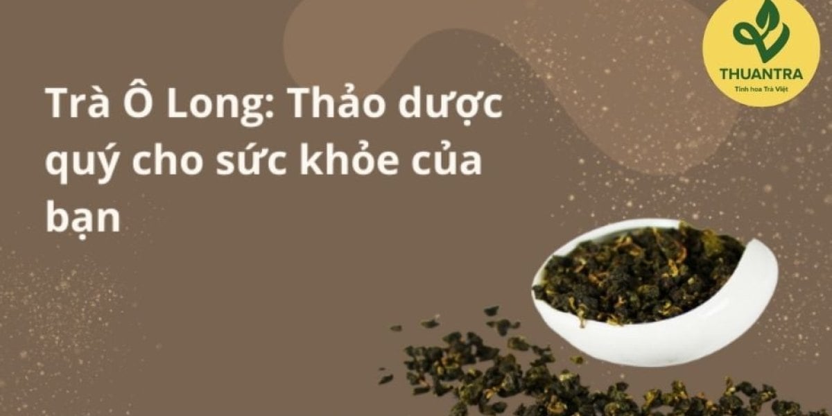Uống trà ô long có tốt không? Nghiên cứu về đốt mỡ, đường huyết, lượng uống mỗi ngày, ai nên hạn chế và 8 sai lầm