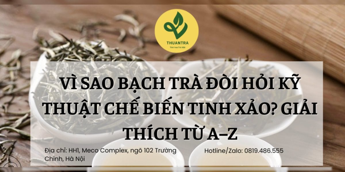 Vì Sao Bạch Trà Đòi Hỏi Kỹ Thuật Chế Biến Tinh Xảo? Giải Thích Từ A–Z